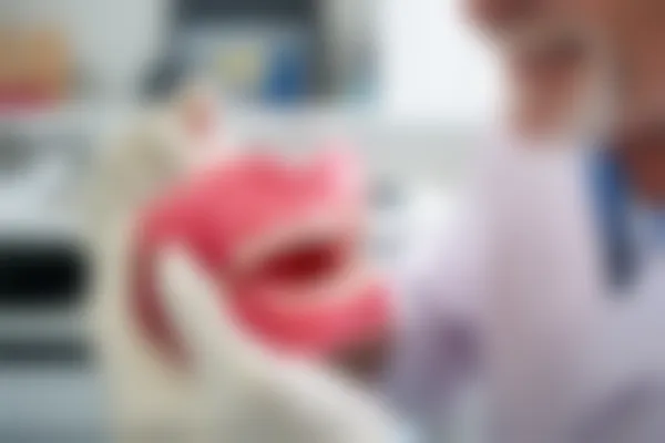 武汉百信口腔诊所口腔修复服务价目表：原价3000元起，现优惠仅需2500元起，让您轻松拥有健康迷人的笑容！
