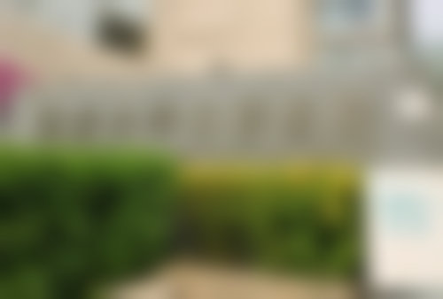 二、北京北京大学口腔王哲医生擅长项目