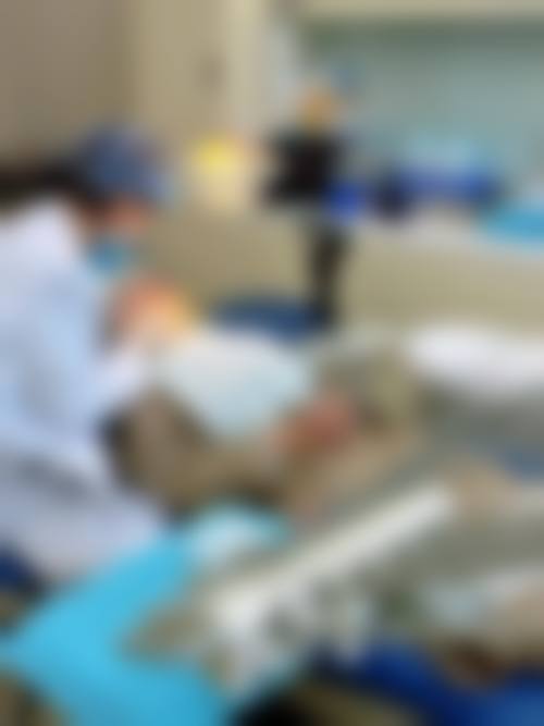 五、红河弘德口腔诊所收费价格表