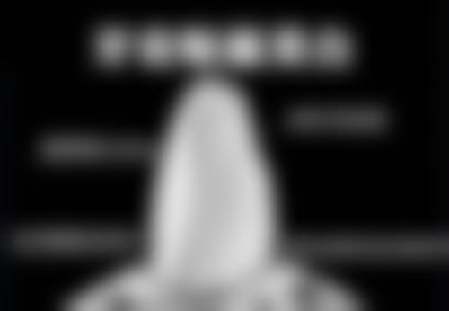 生物相容性：哪种更适合你的口腔环境