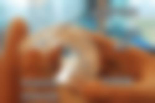 二、长沙蒂伊口腔门诊部正规吗?来看医院资质信息