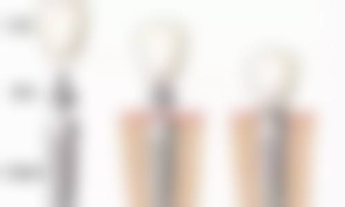 五、平陆白天鹅口腔诊所收费价格表