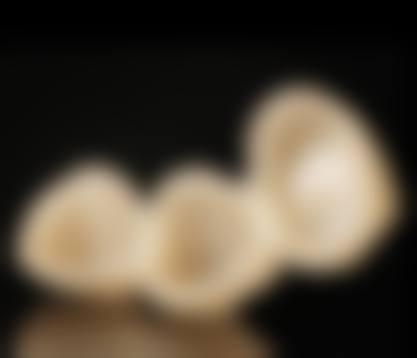 三、乌鲁木齐刘佳口腔诊所医生介绍