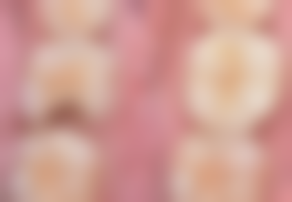 七、肇庆张伟新朱建珍医生怎么预约?