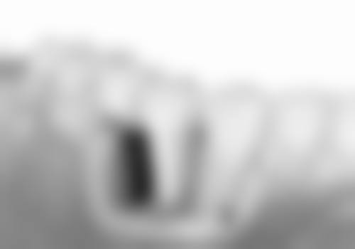 四、汉中小白象口腔门诊部天汉大道店特色项目