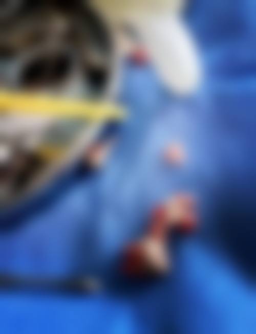 八、宁德博亚口腔门诊部怎么预约?