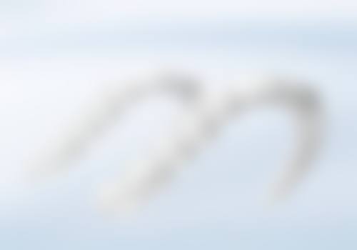 四、淮南杰美口腔门诊部特色项目