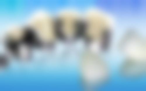 六、山西忻州海英口腔口碑如何？