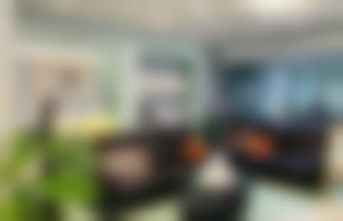 二、北京禾禾口腔王犇医生擅长项目