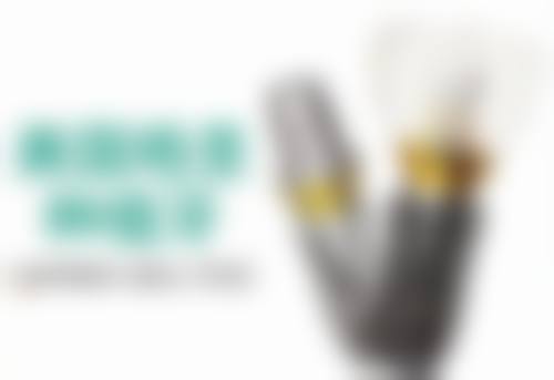 五、山西长治瑞波特秦瑞丽医生技术怎么样？