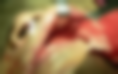 五、辽阳八一口腔医院收费价格表