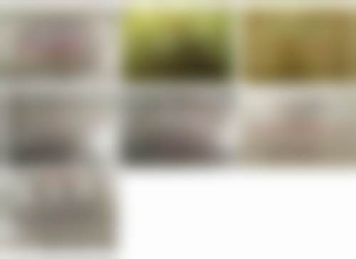 二、深圳启飞口腔（万众）郑晶医生擅长项目