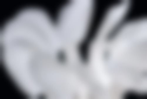 拔牙矫正牙缝聚拢的大致时间范围