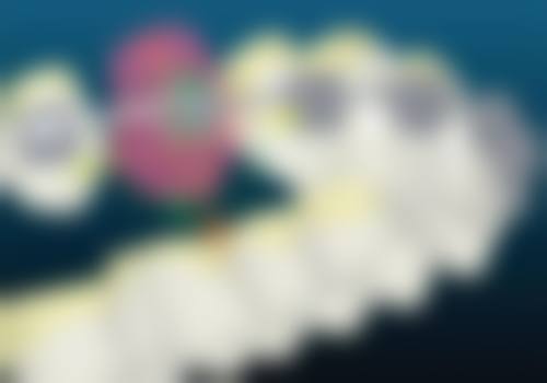 七、杭州英弗口腔地址电话及营业时间