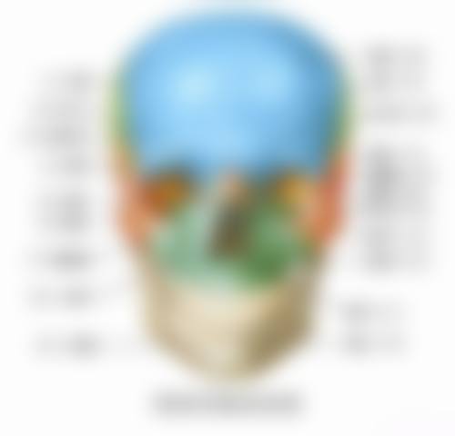 八、青岛大学附属医院口腔颌面外科怎么预约？