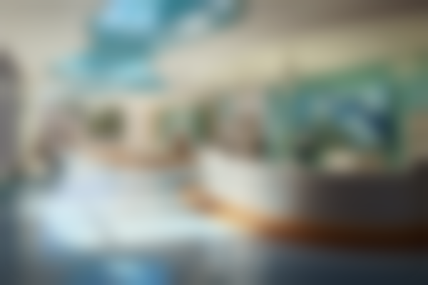 五、红河陈睿司迈口腔门诊部收费价格表