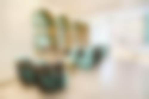 七、温州鹿城蓝芽口腔门诊部地址电话及营业时间