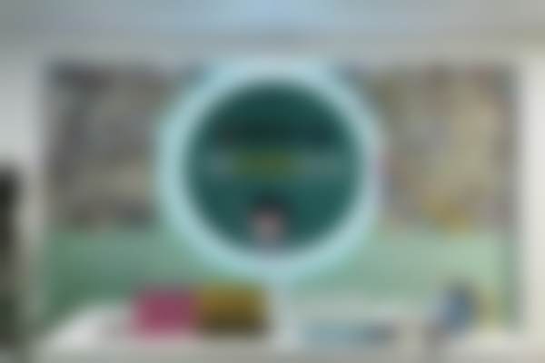 二、茂名致美口腔倪冰医生擅长项目