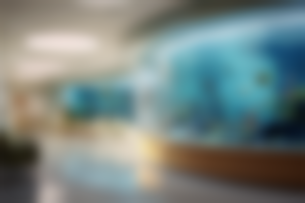 山东威海淑好口腔