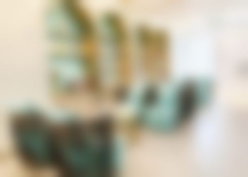 二、温州鹿城蓝芽赵微医生擅长项目