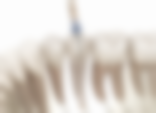 四、泰州姜堰玲珑口腔特色项目