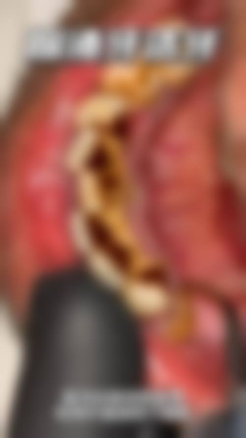 三、广东广州栢林口腔医生介绍