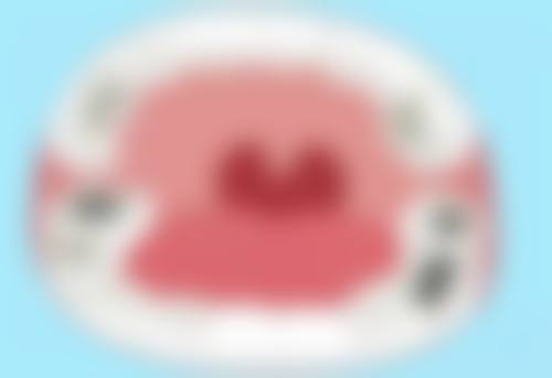 五、杭州植得口腔门诊部(杭州·1 店)收费价格表