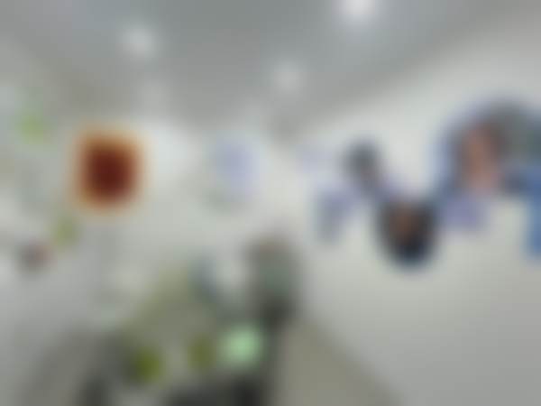 五、郑州植得口腔门诊部（管城分院）收费价格表