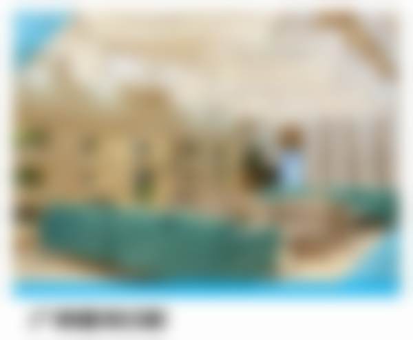 瓷贴面修复项目