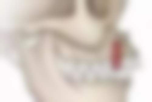 卢凯东医生怎么预约?