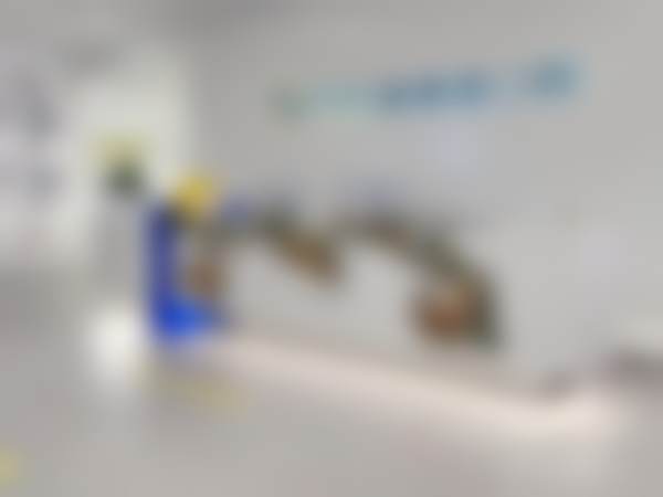 二、南京茀莱堡口腔（建邺）张帆医生擅长项目