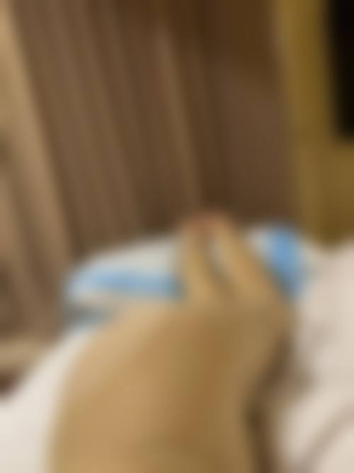 透明价格体系与服务确保