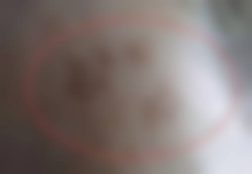 预约优惠活动：限时补贴不容错过