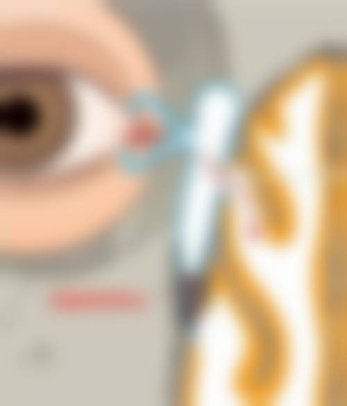 预约优惠活动:专属补贴与便捷通道