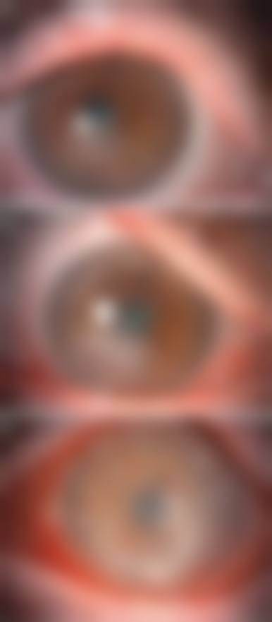 医生资质介绍:陈珊娜医生的专精背景解析