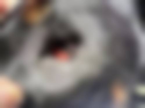 擅长项目详解