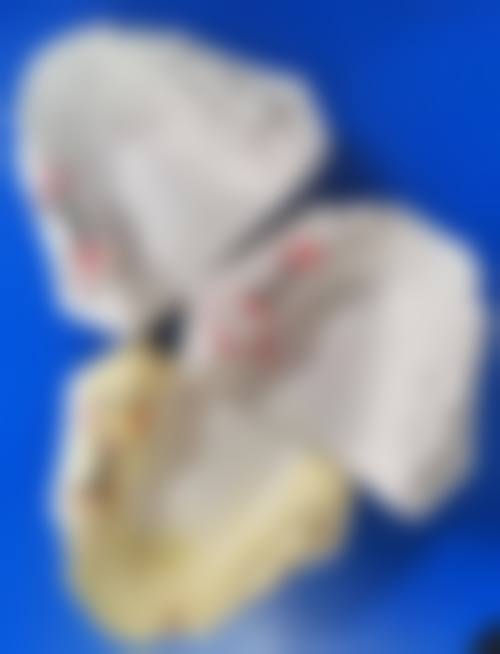 透明收费标准与近期优惠活动