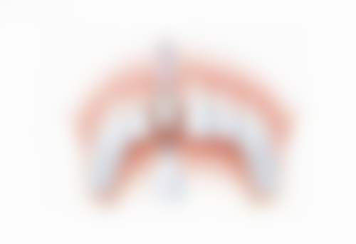 透明收费体系与市场优惠详情
