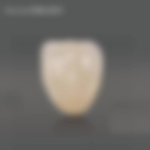 近期热门项目价格参考与优惠活动