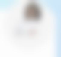 李向南