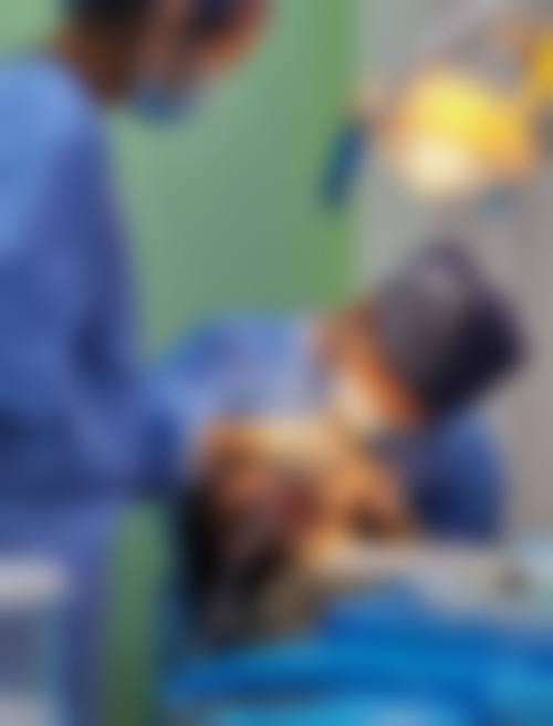 三、长沙安沙致雅口腔门诊部医生介绍