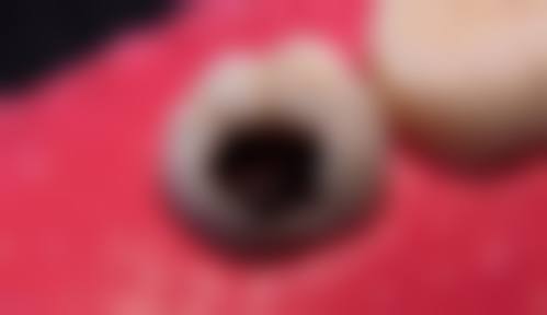 资质认证与正规性分析