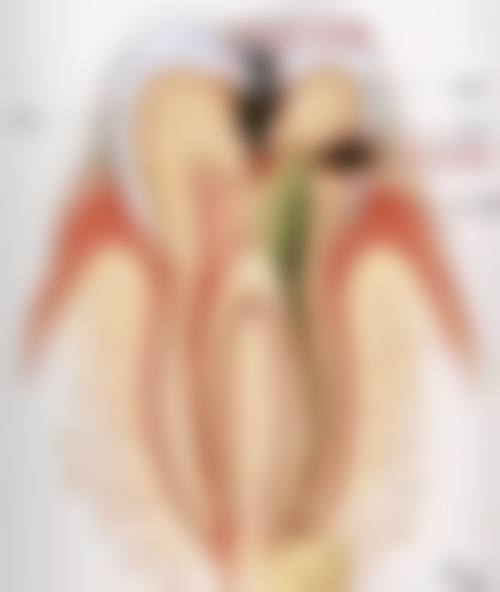 FAQ:常见疑问解答