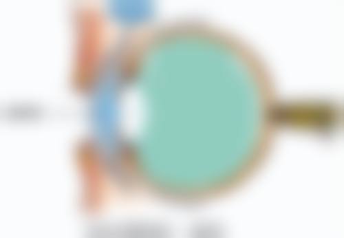 常见问题解答FAQ