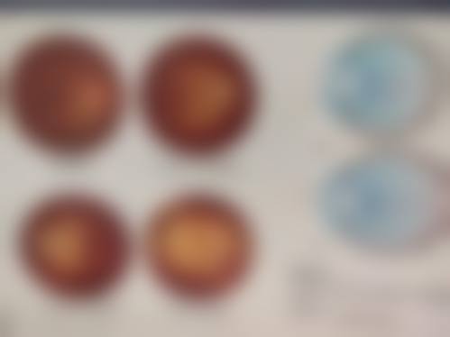 总结与预约指南