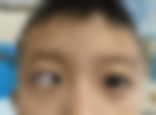 骨干医生团队与特色科室优势