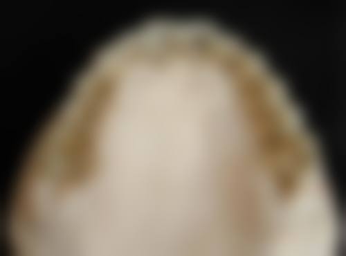 诊疗特色总结
