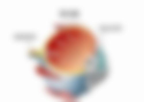 擅长项目详解:魏六峰医生的核心技术