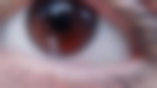 擅长项目详解