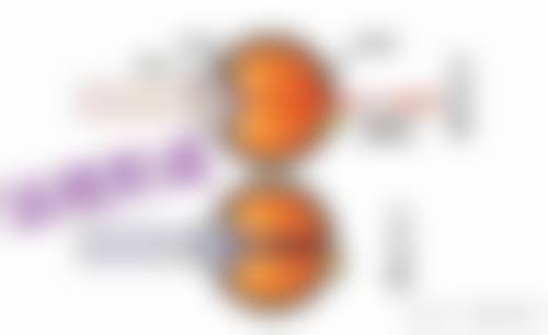 结尾预约号召包头市蒙医中医医院眼科沈丽英